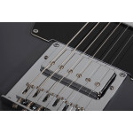 Электрогитара SCHECTER PT EX DORIAN GRAY