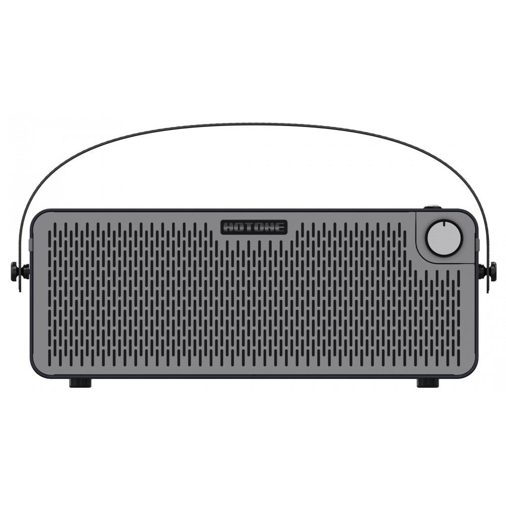 Комбоусилитель Hotone Pulze (Eclipse)