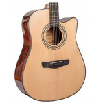 Акустическая гитара Omni D-890S