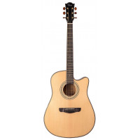 Акустическая гитара Omni D-890S