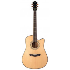 Акустическая гитара Omni D-890S