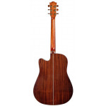 Акустическая гитара Omni D-890S