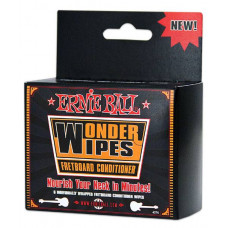 СРЕДСТВО ДЛЯ ЧИСТКИ ГРИФА ГИТАРЫ ERNIE BALL 4276