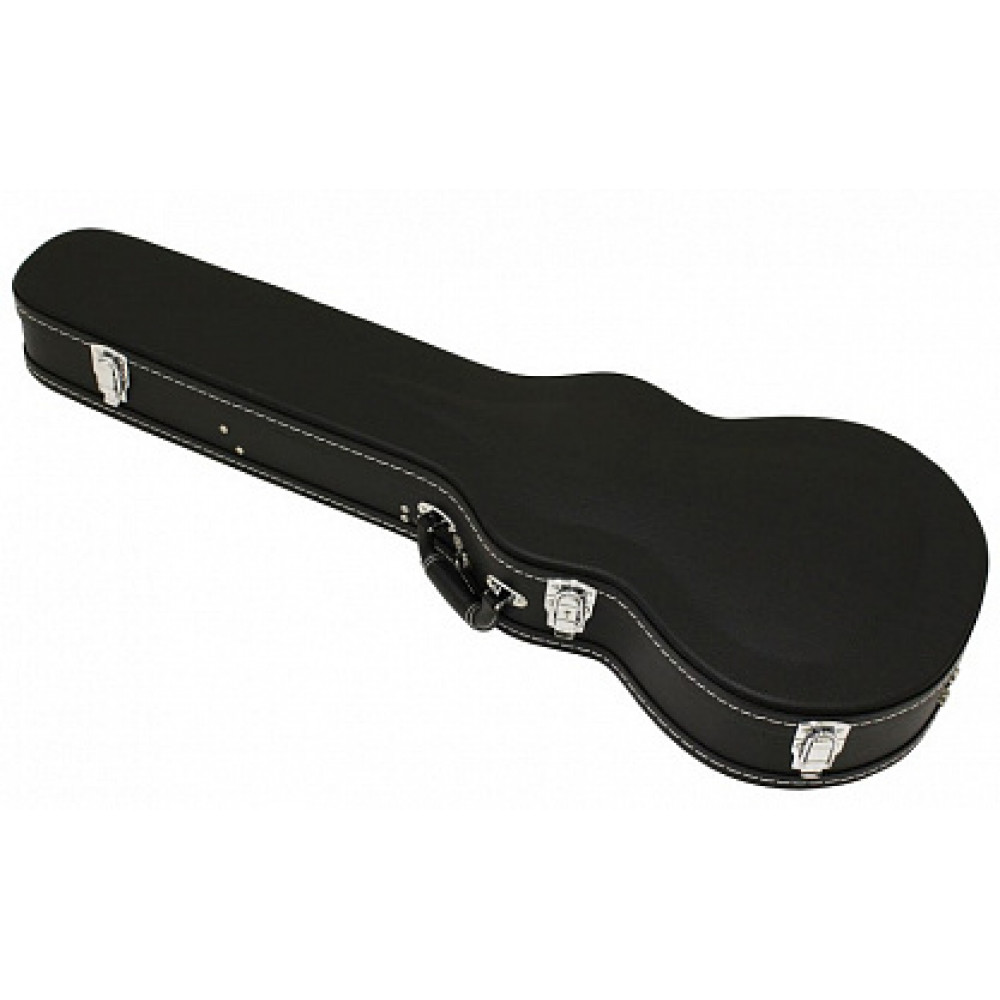 КЕЙС ARIA CG-120LP