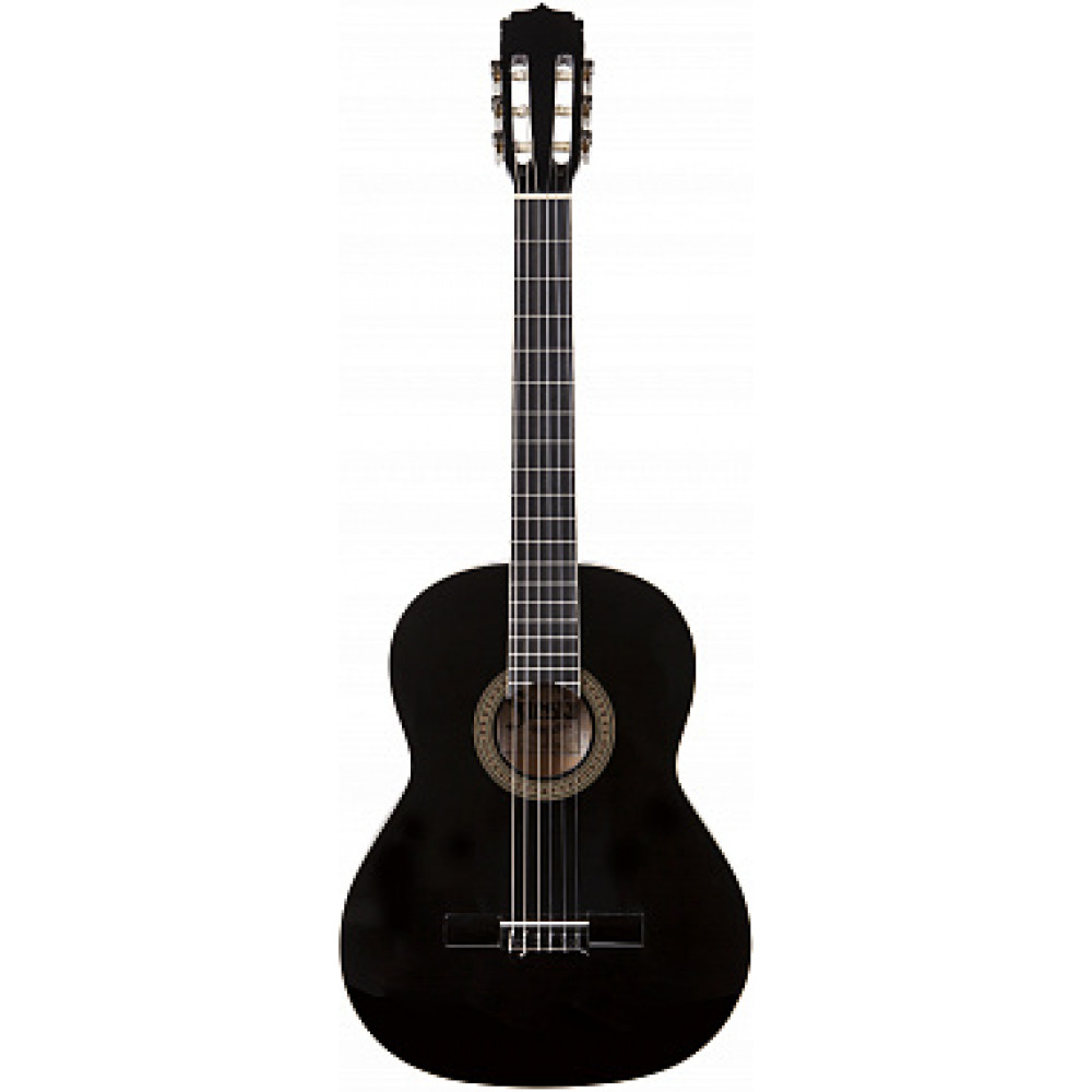 Классическая гитара ARIA FIESTA FST-200 BK