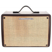 Гитарный комбо IBANEZ T30II TROUBADOUR