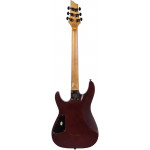 Электрогитара SCHECTER SGR C-1 WSN