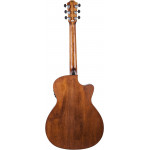 Леворукая электроакустика BATON ROUGE AR21C/ACE-L