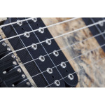 Электрогитара SCHECTER REAPER-6 CHARCOAL BURST