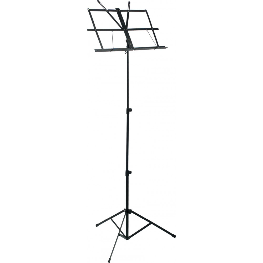 ПЮПИТР PROEL RSM300
