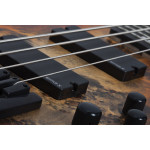 Бас-гитара SCHECTER RIOT-4 Inferno Burst