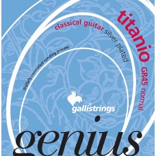 Струны GALLI STRINGS GR45