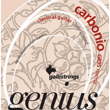 Струны GALLI STRINGS GR95