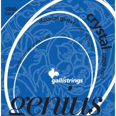 Струны GALLI STRINGS GR60