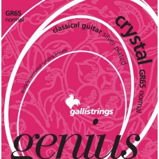 Струны GALLI STRINGS GR65