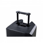 Акустическая система портативная SoundSation Provibe-12AIR, 2 микрофона, 400Вт