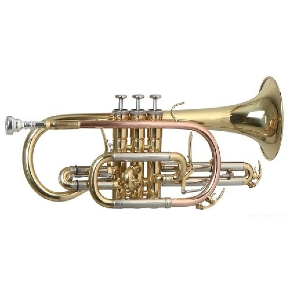 Roy Benson СR-302 Bb корнет