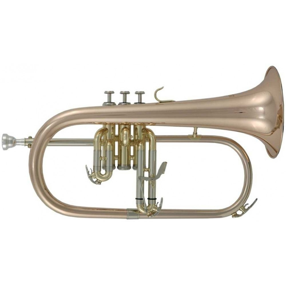 Roy Benson FH-302G Bb флюгельгорн