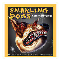 Комплект струн для акустической гитары Snarling Dogs SDP11, фосфорная бронза, 11-52