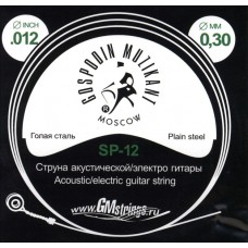 SP-12 Отдельная струна, 0,012, сталь ФРГ, Господин Музыкант