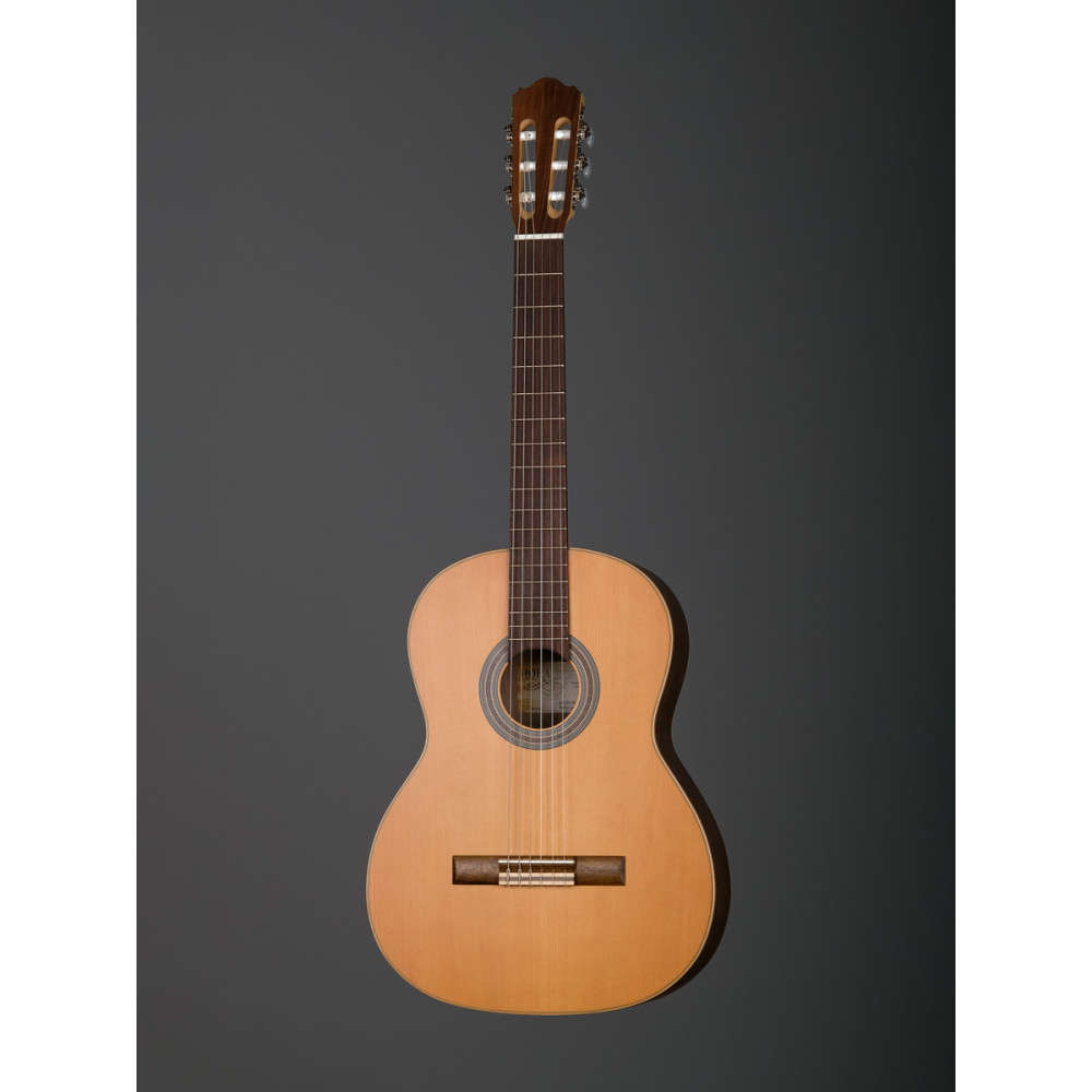 SS300 Eco Walnut Классическая гитара Hora